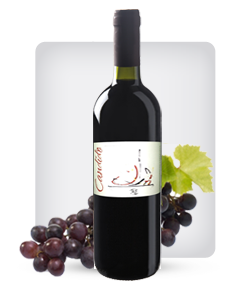 Vino Candido - Vermentino di Sardegna
